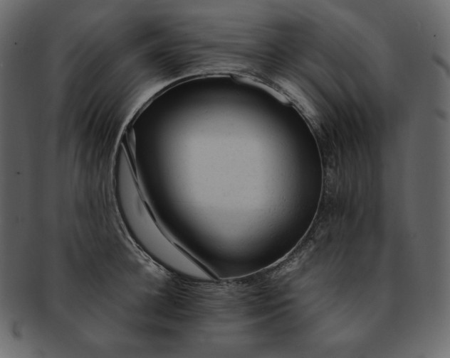 X0000092280948200710051141