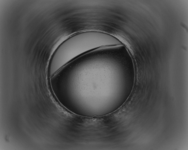 X0000092280949200710051141