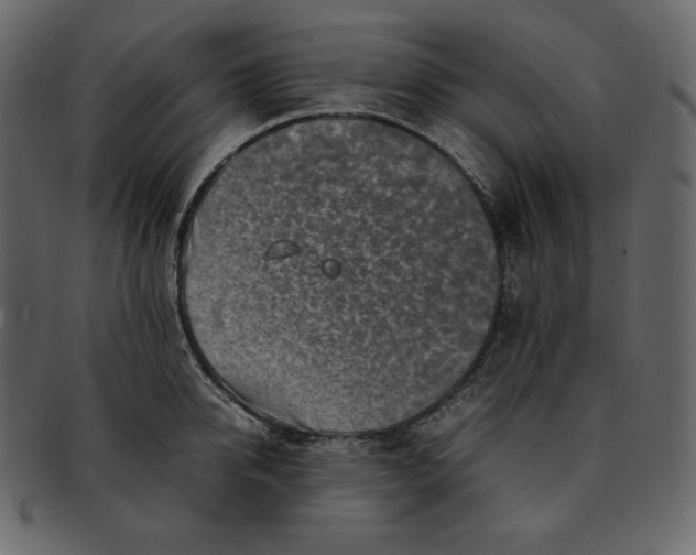 X0000092280950200710051141