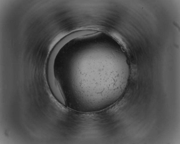 X0000092280952200710051141