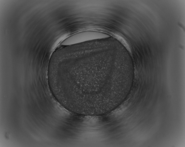 X0000092280954200710051141