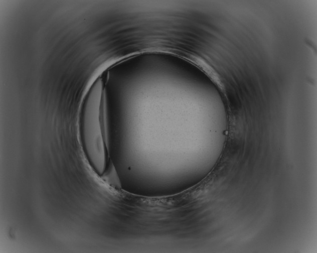 X0000092280955200710051141