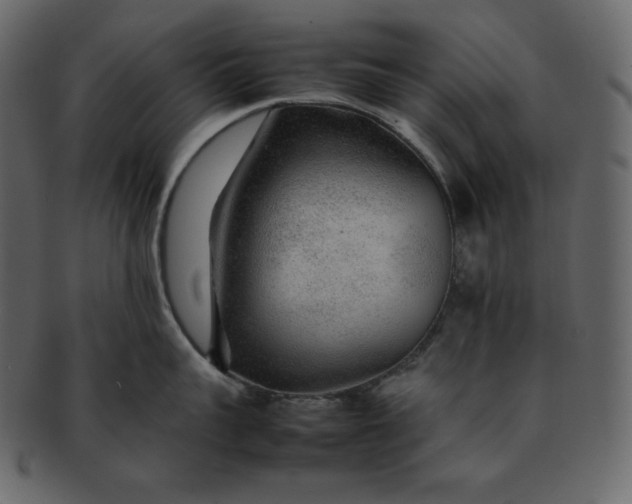 X0000092280959200710051141