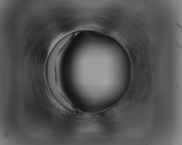 X0000092280960200710051141