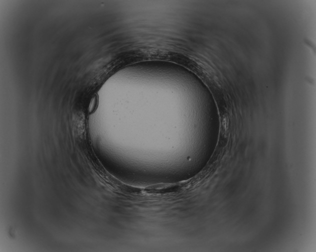 X0000092280963200710051140