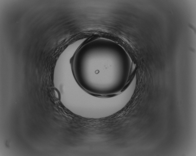 X0000092280965200710051140