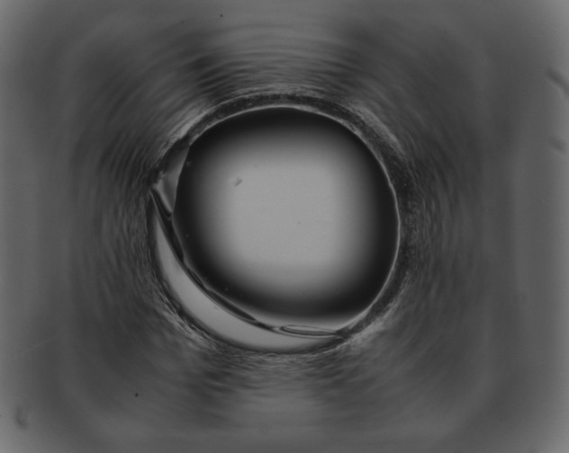 X0000092280969200710051140