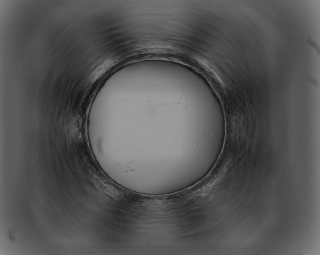 X0000092280970200710051140