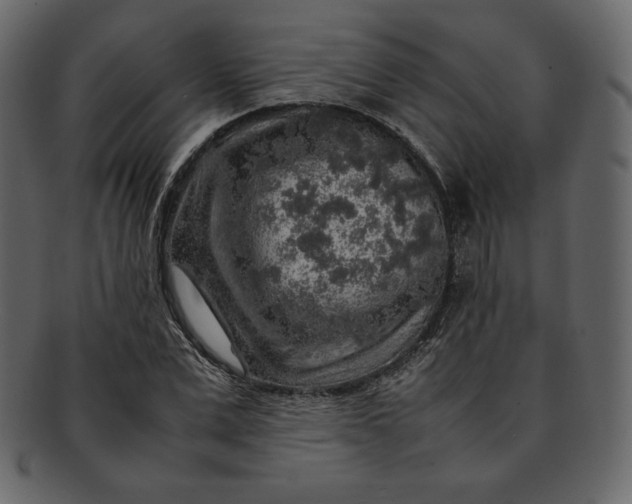 X0000092280975200710051140