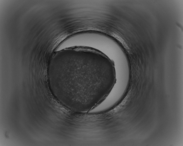 X0000092280977200710051140