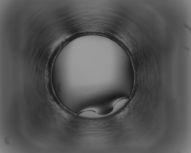 X0000092280979200710051140