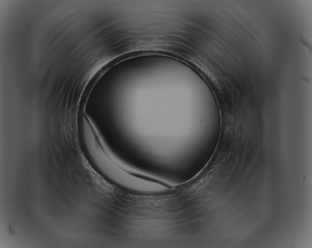 X0000092280980200710051140