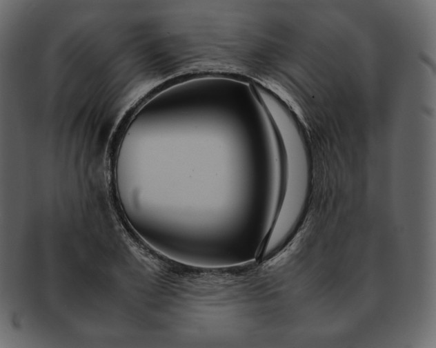 X0000092280981200710051140