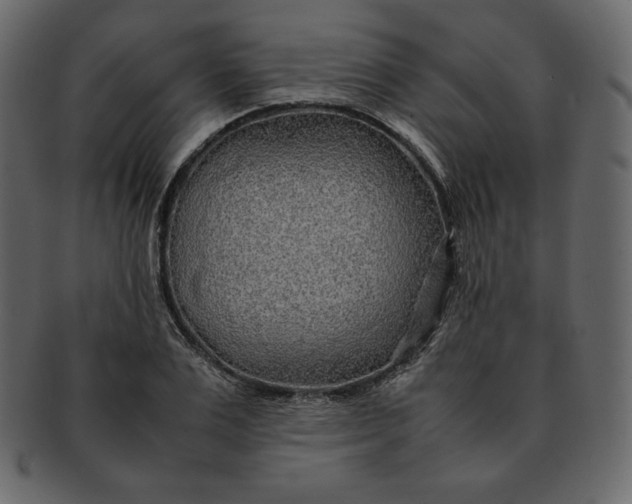 X0000092280983200710051140