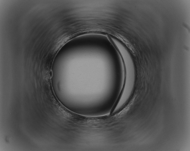 X0000092280985200710051140