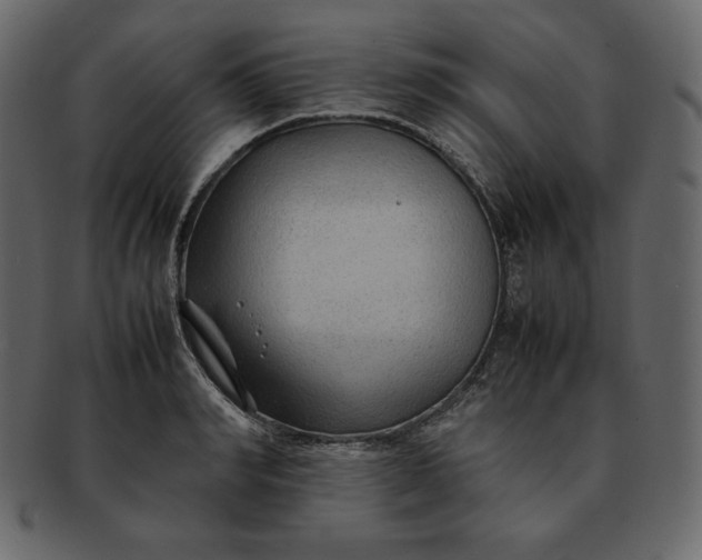 X0000092280990200710051140