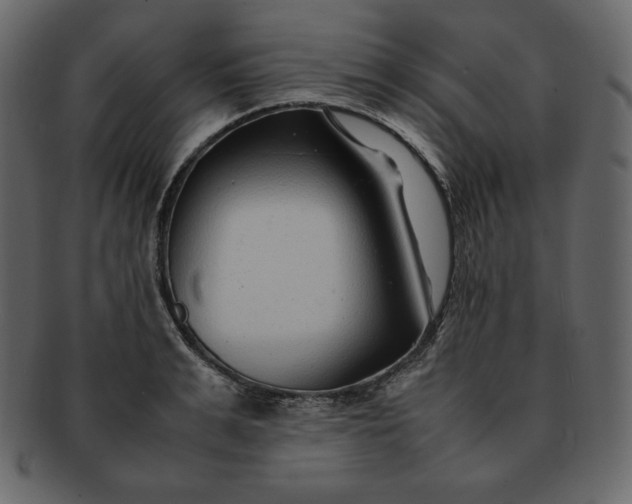 X0000092280991200710051140