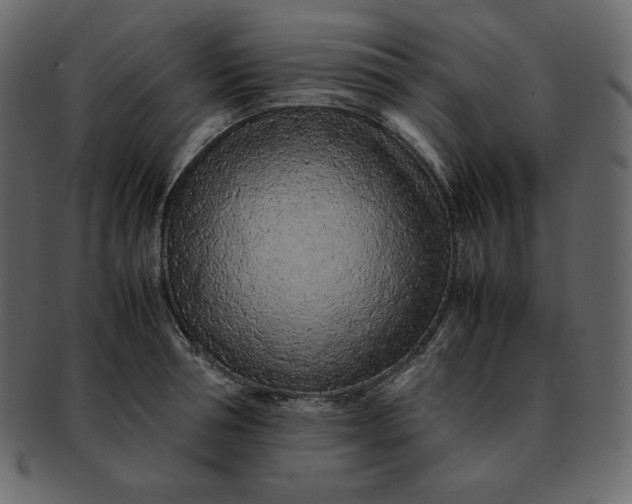 X0000092280994200710051140