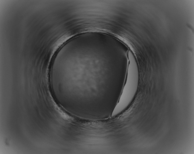 X0000092280995200710051140