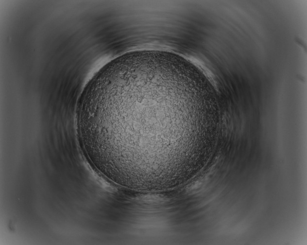 X0000092280998200710051140