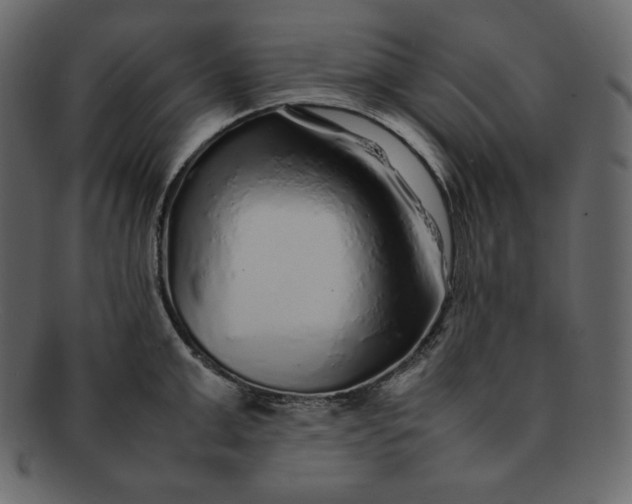 X0000092280999200710051140