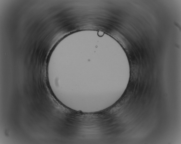 X0000092281000200710051140