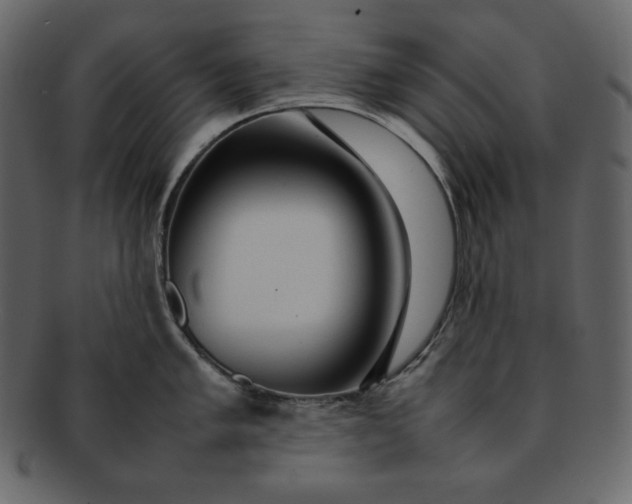 X0000092281005200710051140