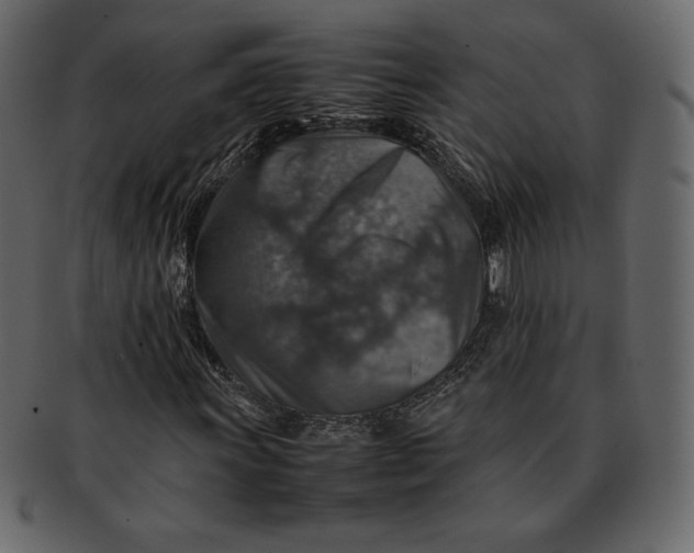 X0000092281011200710051139