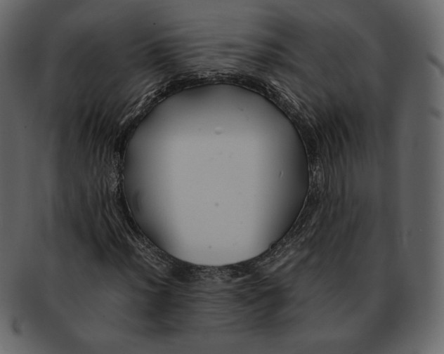 X0000092281012200710051139