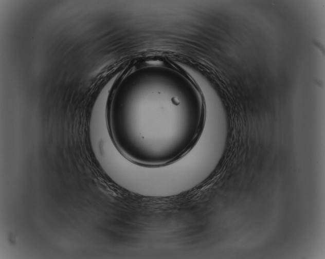 X0000092281014200710051139