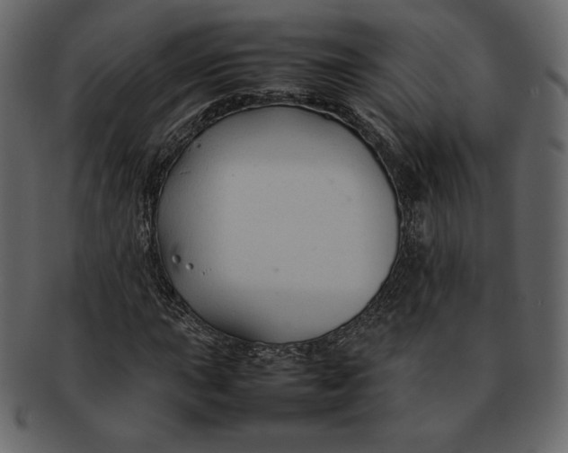 X0000092281015200710051139