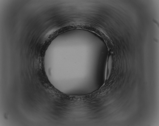 X0000092281016200710051139