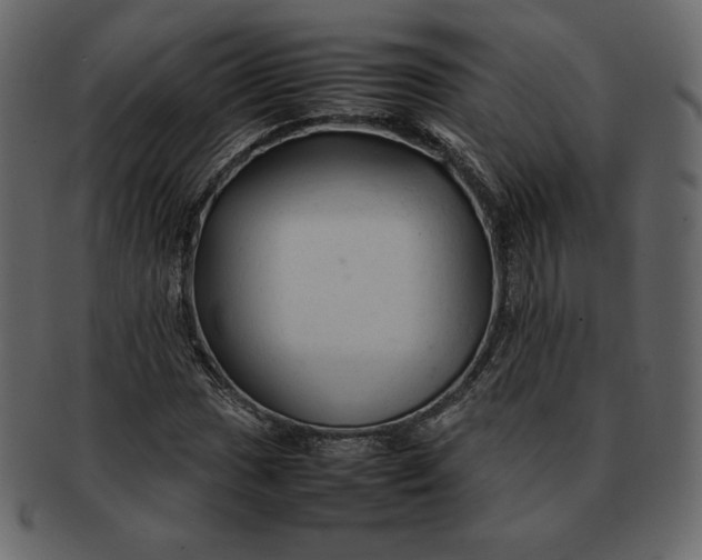 X0000092281017200710051139