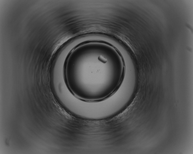 X0000092281018200710051139