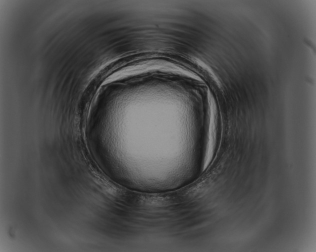 X0000092281019200710051139