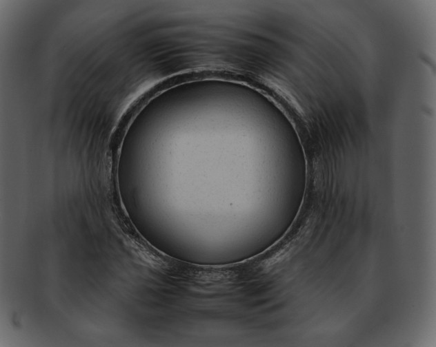 X0000092281021200710051139