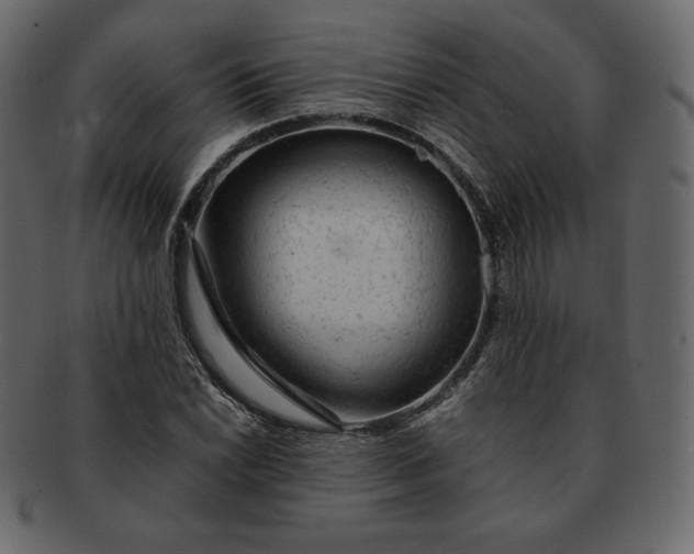 X0000092281022200710051139