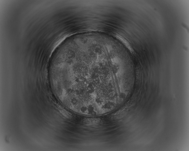 X0000092281023200710051139