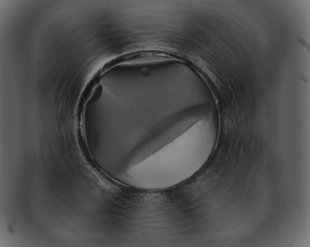 X0000092281024200710051139