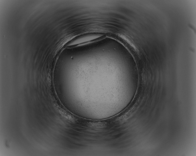 X0000092281025200710051139