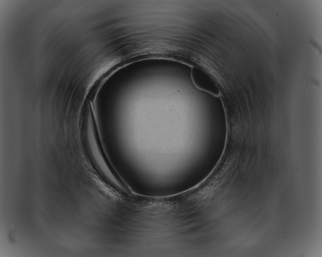 X0000092281026200710051139