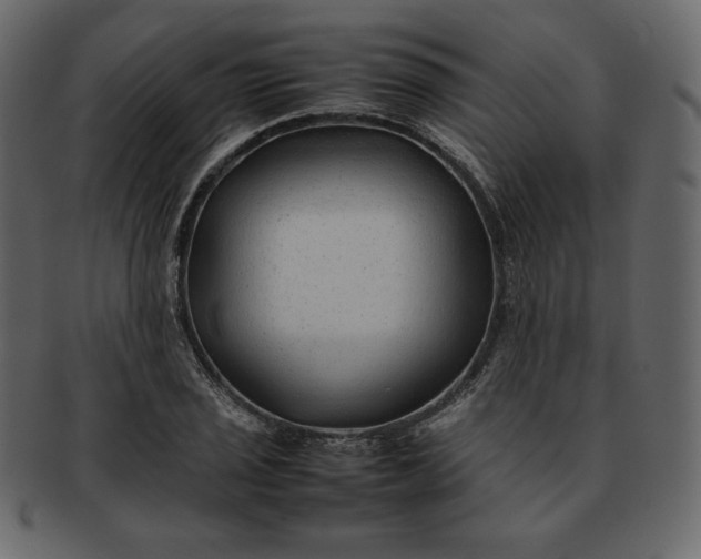 X0000092281029200710051139