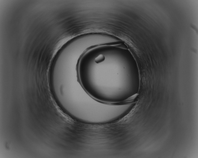 X0000092281030200710051139