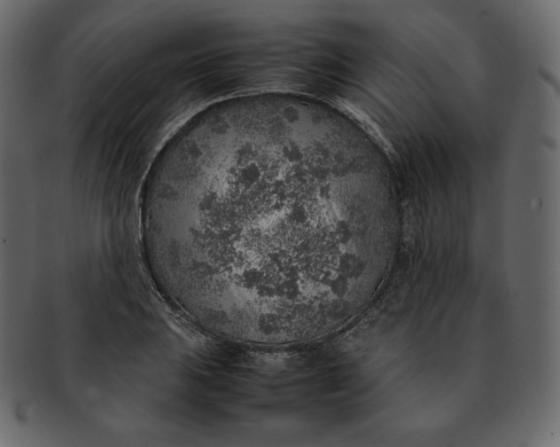 X0000092281031200710051139