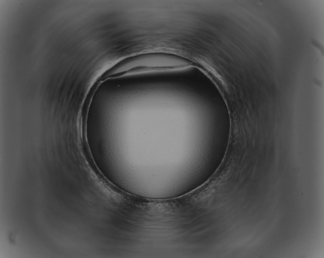 X0000092281032200710051139