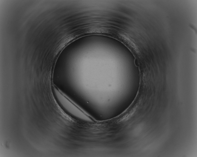 X0000092281033200710051139