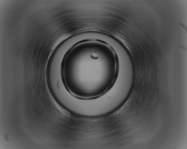 X0000092281034200710051139