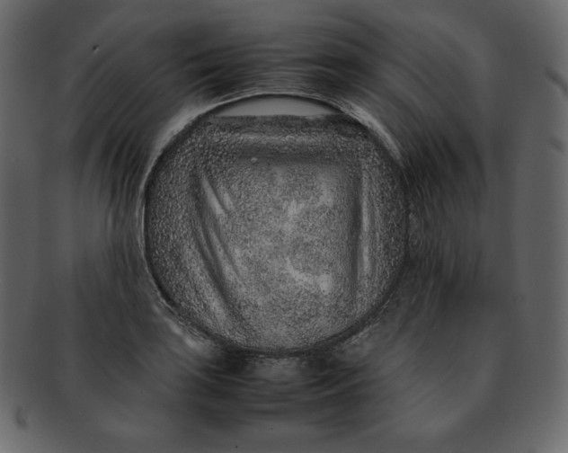 X0000092281035200710051139