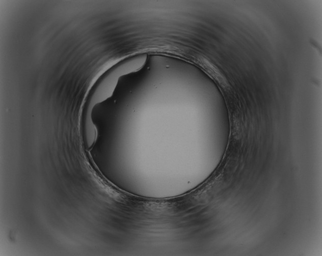 X0000092281036200710051139