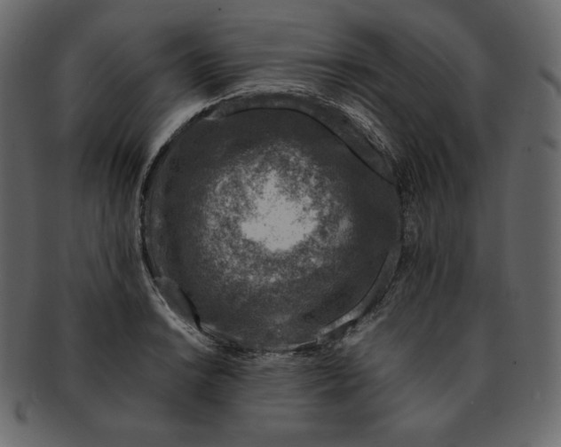 X0000092281038200710051140